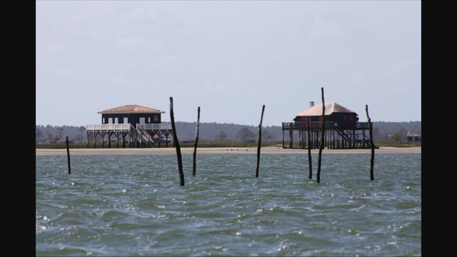 ile aux oiseaux