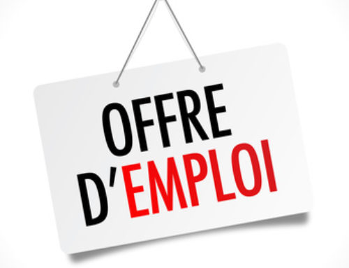 Offres d’emplois été 2024