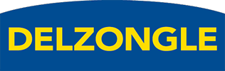 logo-delzongle2